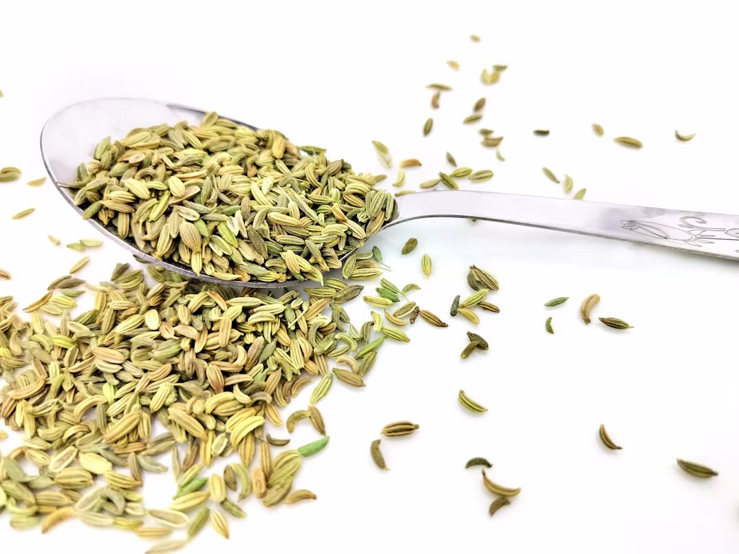 Fennel